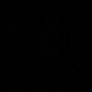 Meet your Posher, Bradley